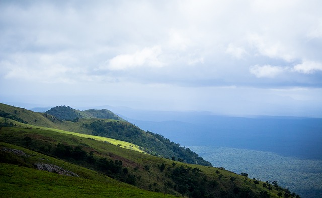 成功压制了 成功压制了