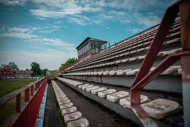 球迷津津樂 球迷津津樂