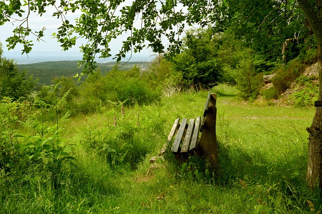 勒沃库森保 勒沃库森保