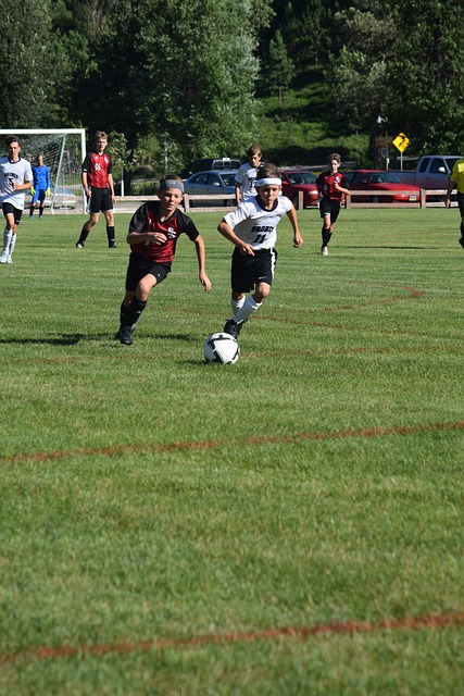 注重思想引 注重思想引