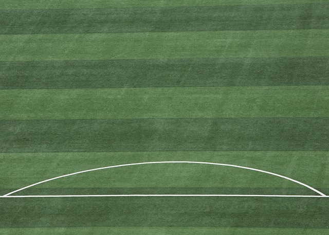 只是体坛精 只是体坛精