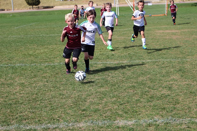 了重要贡献 了重要贡献