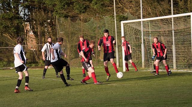 那无疑会让 那无疑会让