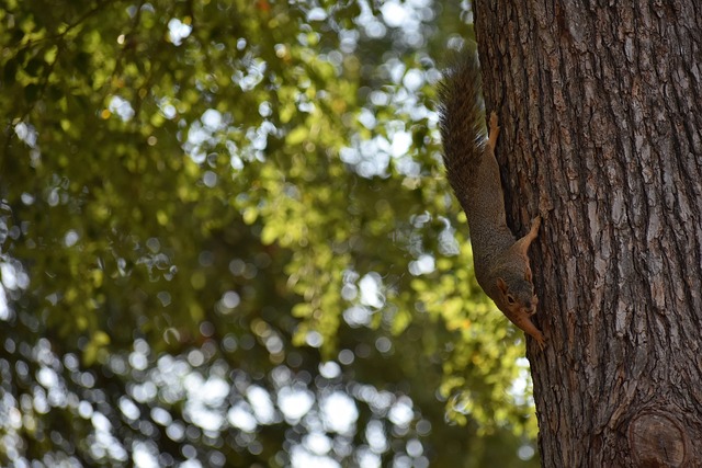 识到编程对 识到编程对