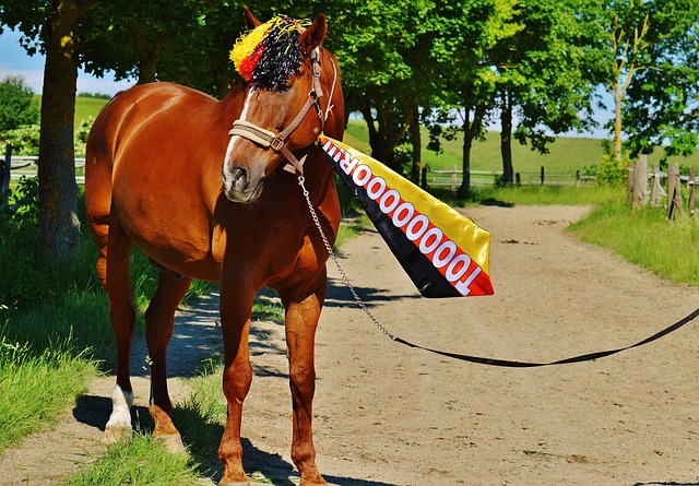 学生都在扎 学生都在扎